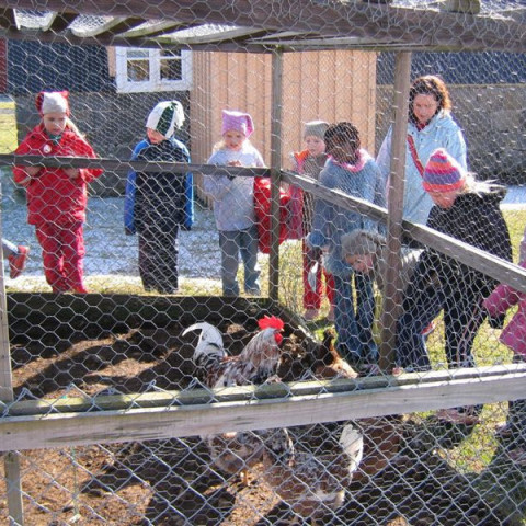 myndir-teknar-i-april-2005-041