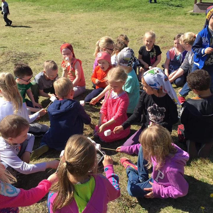 13336295_10156219856986980_2052338636_n