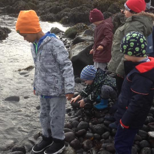 14316922_10209158402889869_7307523616138936961_n