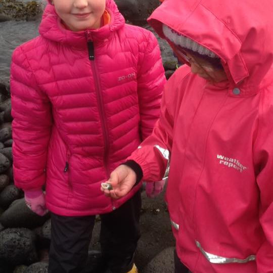 14368869_10209158402369856_6103846893946433887_n