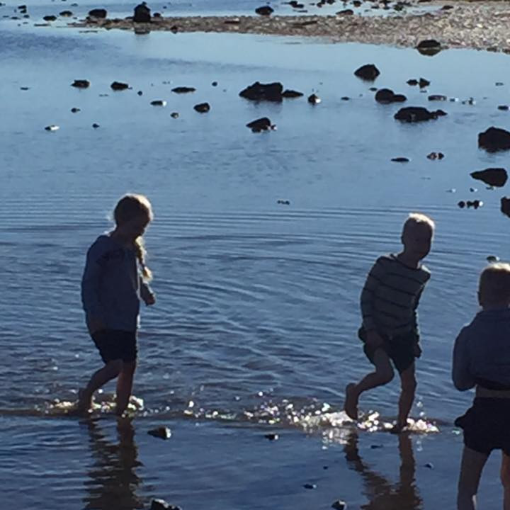 14433137_10154152757768271_5072663707061055796_n