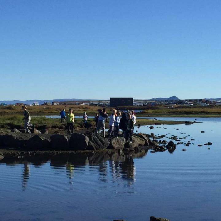 14517345_10154152757973271_8481895371323046028_n