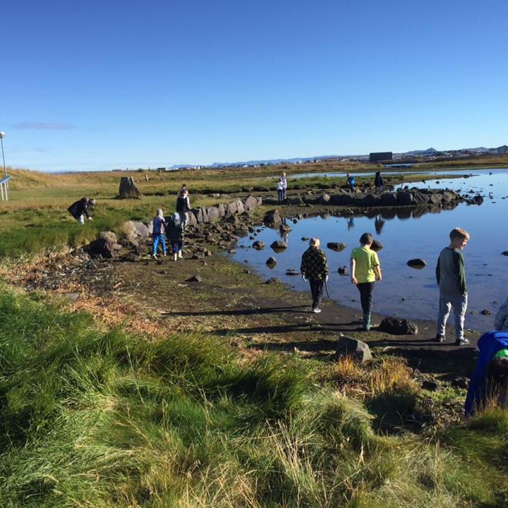 14517345_10154152758748271_8114518663731412050_n