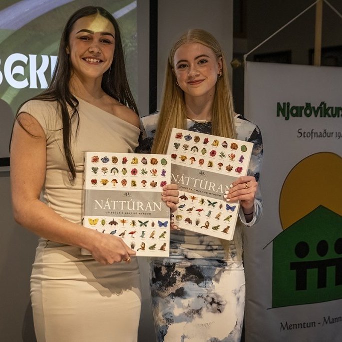 hl7a9544-denoiseai-severe-noise-copy