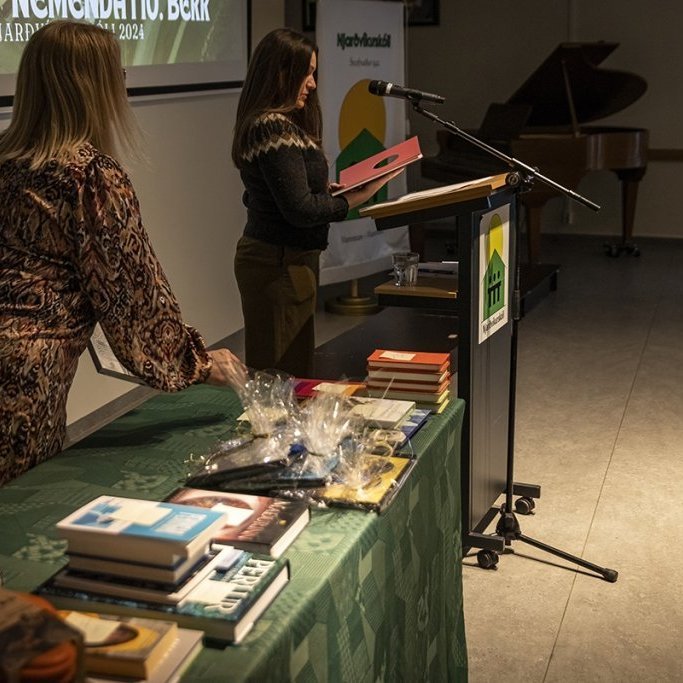 hl7a9546-denoiseai-severe-noise-copy