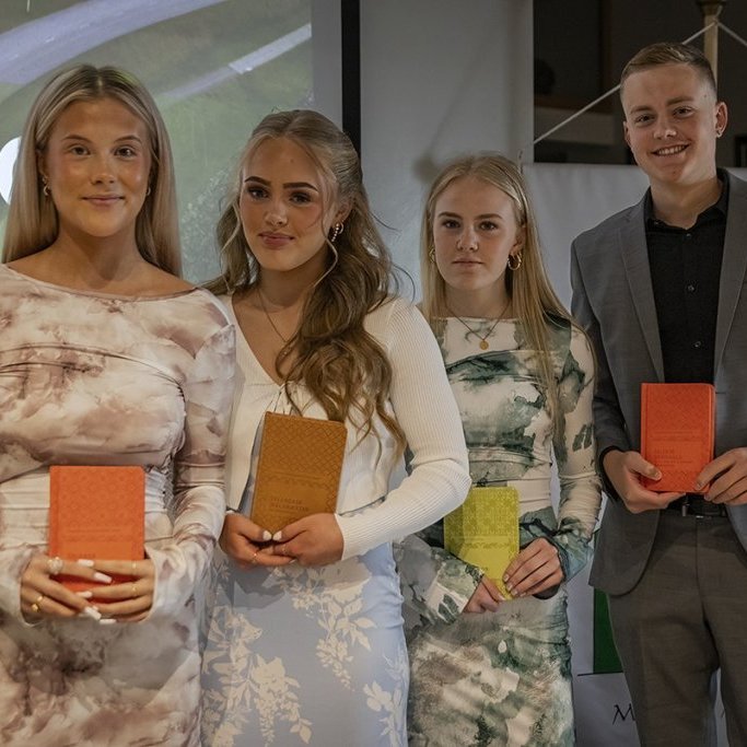 hl7a9578-denoiseai-severe-noise-copy