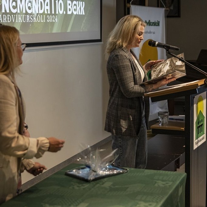 hl7a9593-denoiseai-severe-noise-copy