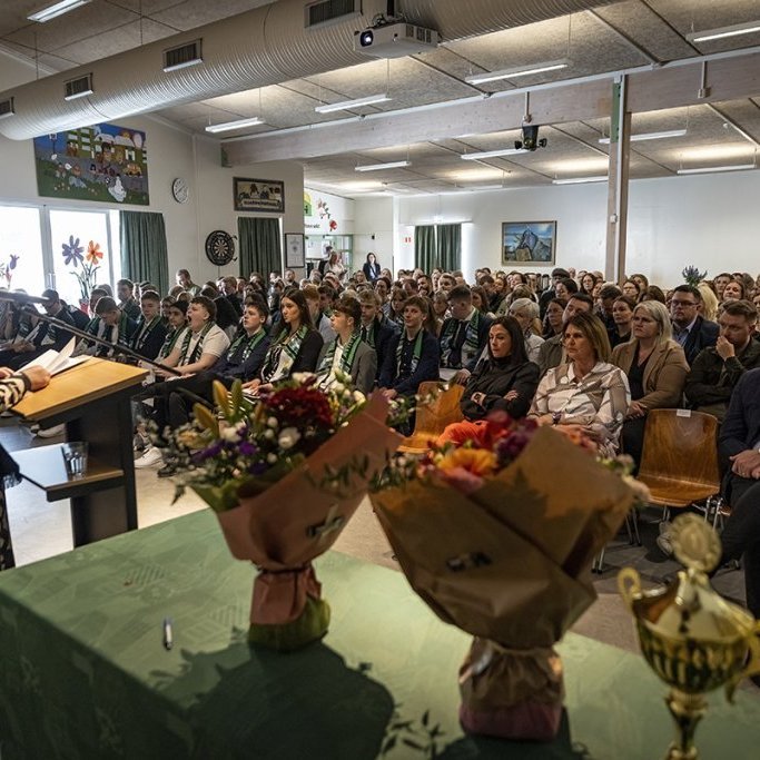 hl7a9710-denoiseai-severe-noise-copy