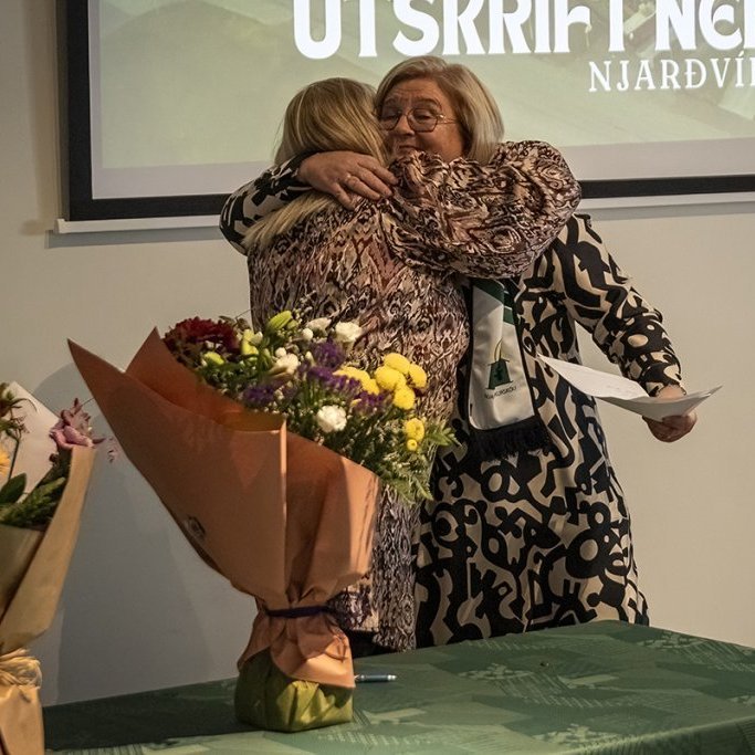 hl7a9711-denoiseai-severe-noise-copy