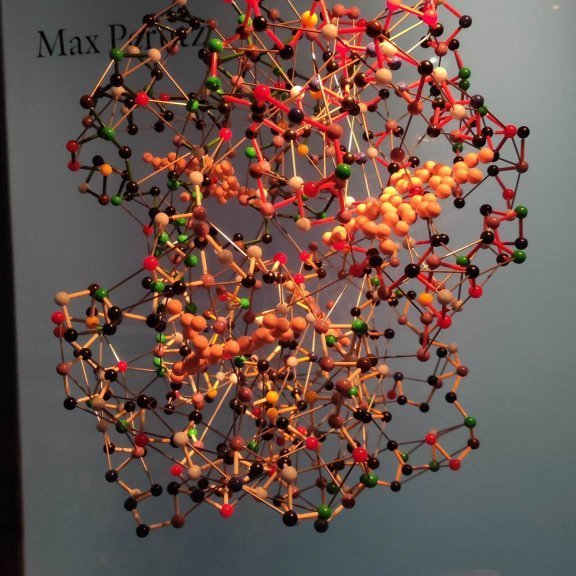 340931872_261364509687423_448558894120724606_n