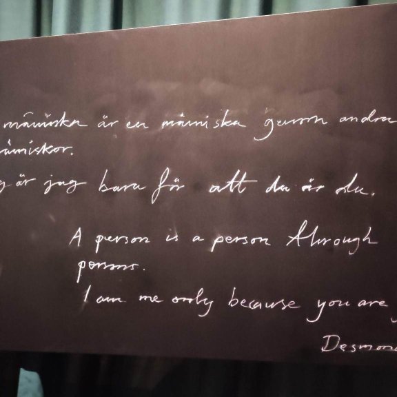 341100051_185555227713290_5992564778917028375_n