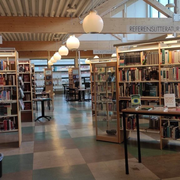 343293473_155009763970678_6214906299082525784_n