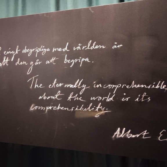 343397755_776065393861111_245137677560144812_n