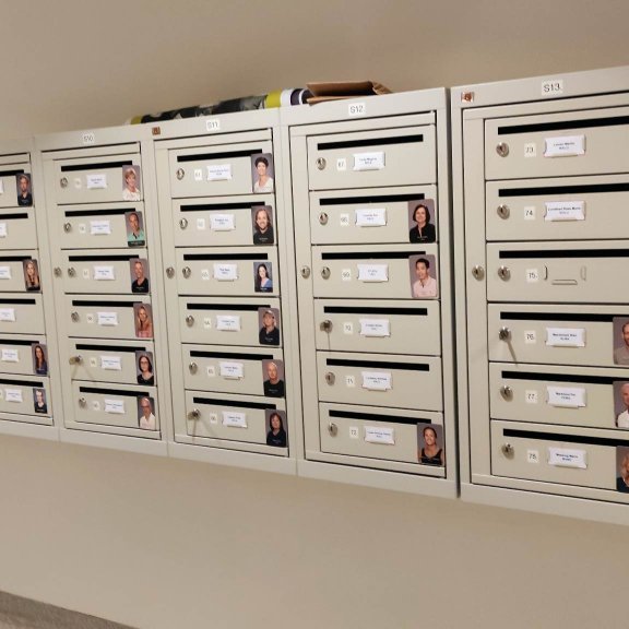 343472524_568586385377631_691948071577910075_n