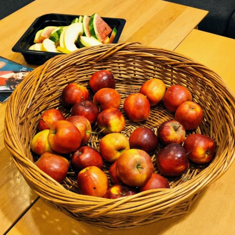 344049067_534691925492975_450844232664233923_n