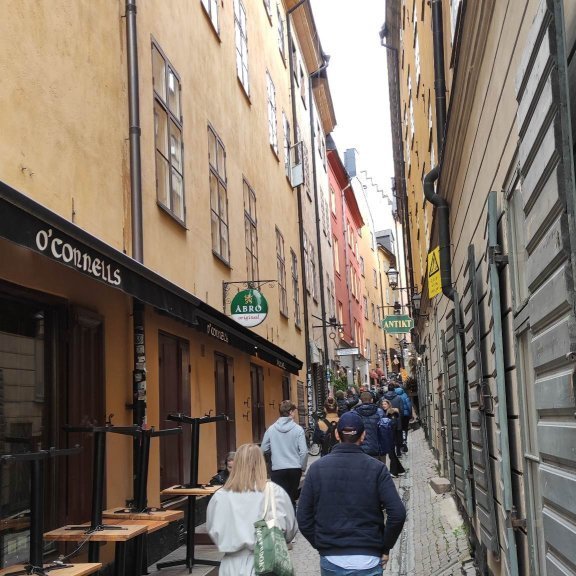 344179291_1187695981948440_2760536210410504889_n