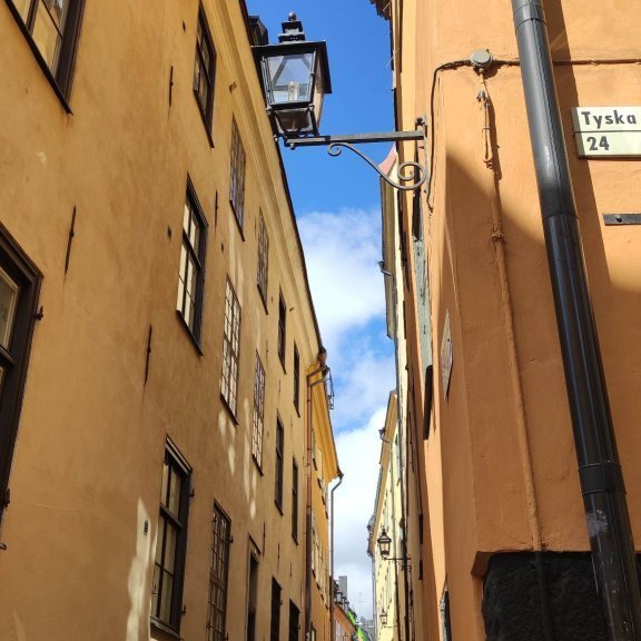 344279474_244597388062570_7168539504873779384_n