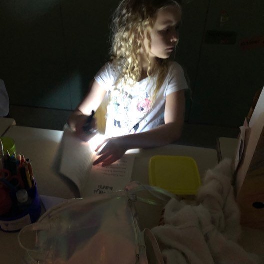 80258658_1000773916949041_5725145659871330304_n