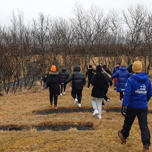 161727962_432567694475505_6816578485819214982_n