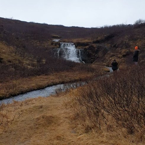 161898116_896354444252571_8262126453219127677_n