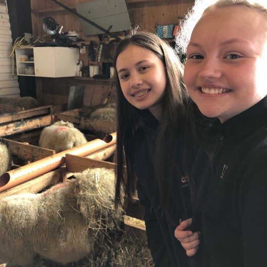 60651288_367002833938502_1944528550430244864_n