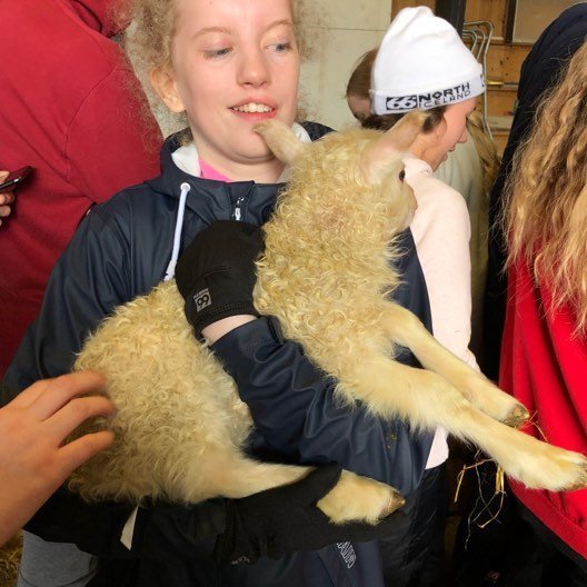 60680959_621308781669972_934369834597089280_n