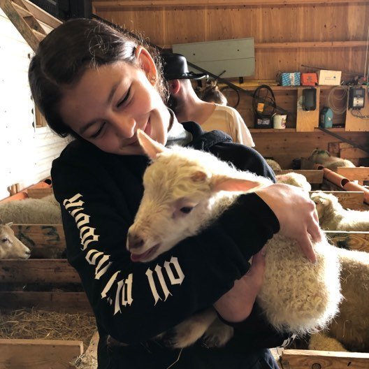 60814028_2329991237271714_1375786305329299456_n