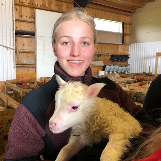 60836885_434171117147303_5076141557023768576_n