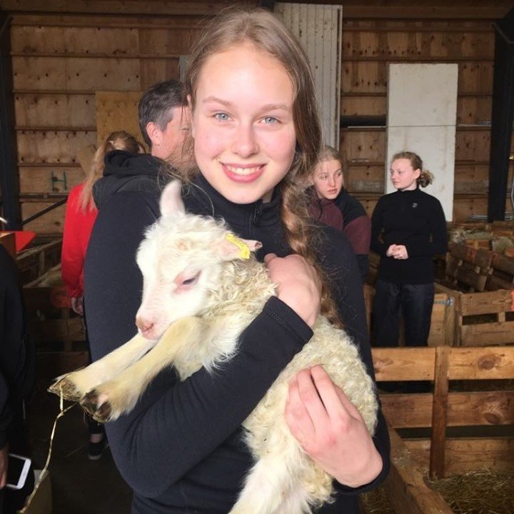 60889509_405269020319888_8131370017661911040_n