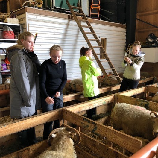 60965607_184919112423335_1309224353874837504_n