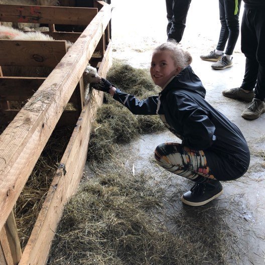 60970116_1007473462771989_6500445947527430144_n