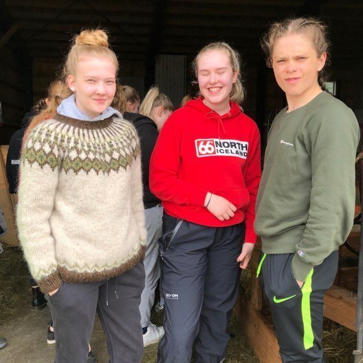 61040161_185238022382262_6822575027372687360_n