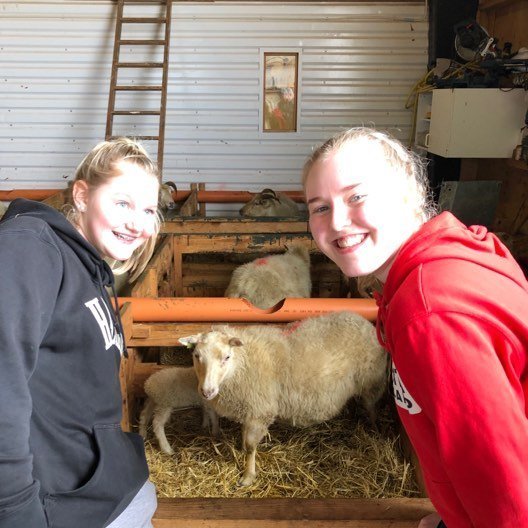 61108689_2295505977367947_3737343342543896576_n