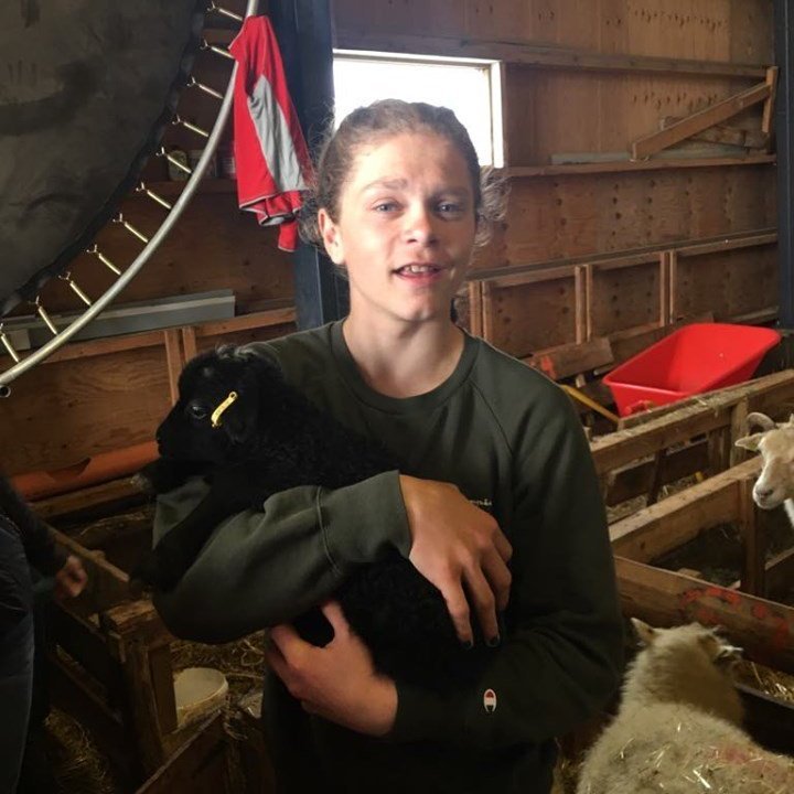 61120877_295413944672466_7619167873096744960_n