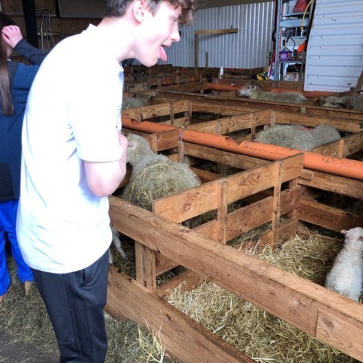 61262403_2271072659650345_4798498399810748416_n