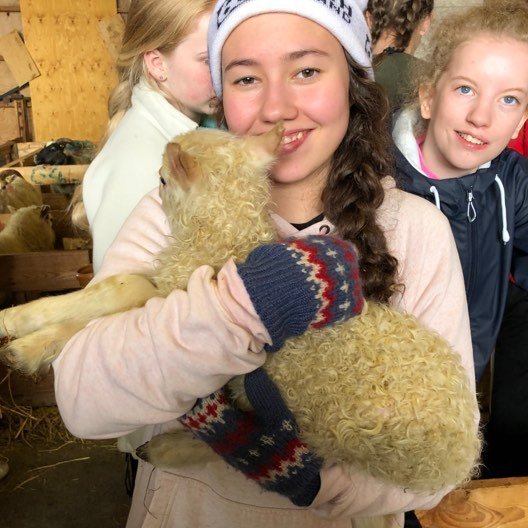 61269620_328737717814397_4226117239373299712_n