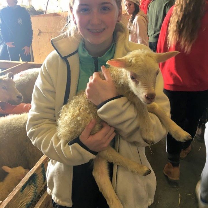 61349505_332188050734775_1302603532939034624_n