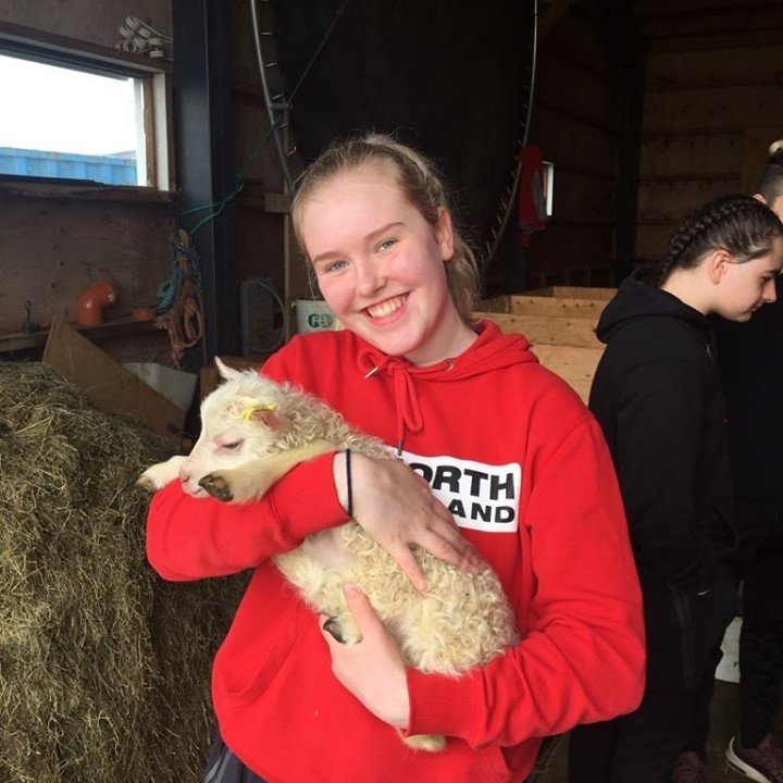 61380270_1241567299355152_1544536214634233856_n