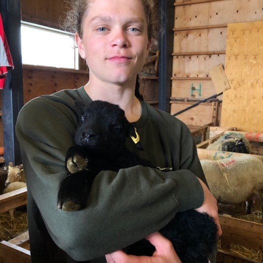 61386629_439750443253283_8442109252260069376_n