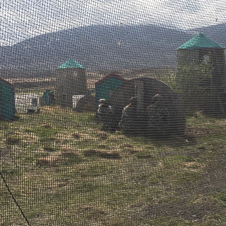 60753481_2364153280578046_6318479637873688576_n