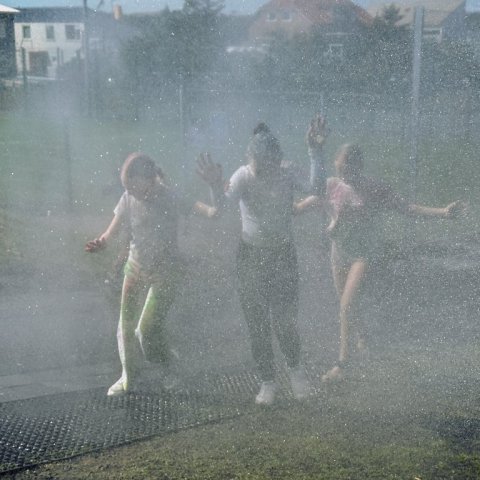 img_7382.jpg