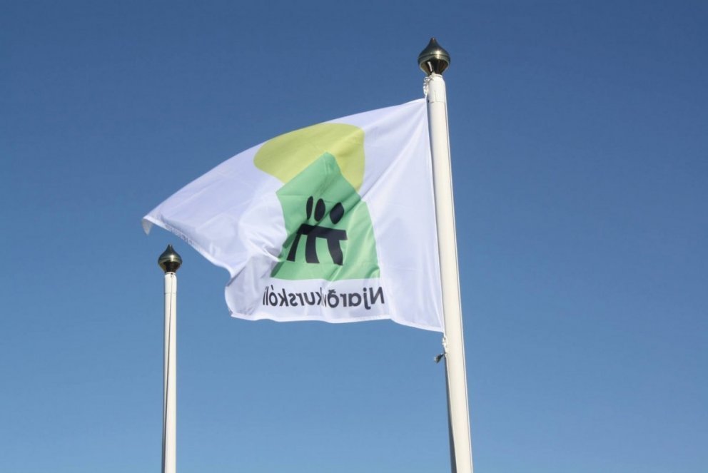 Skertur nemendadagur