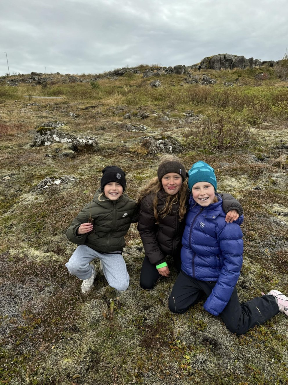 Gróðursetning á birkitrjám í Njarðvíkurskógi
