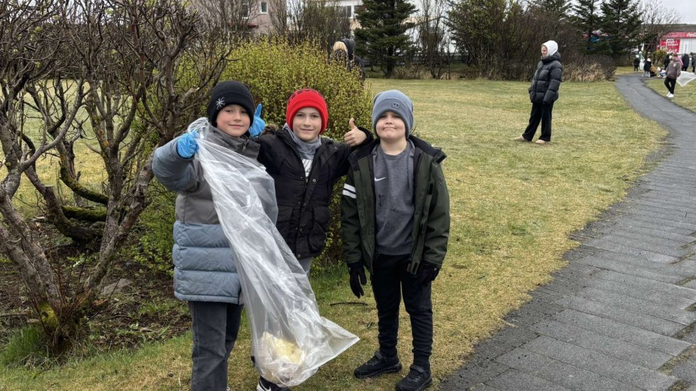 Stóri plokkdagurinn 2025
