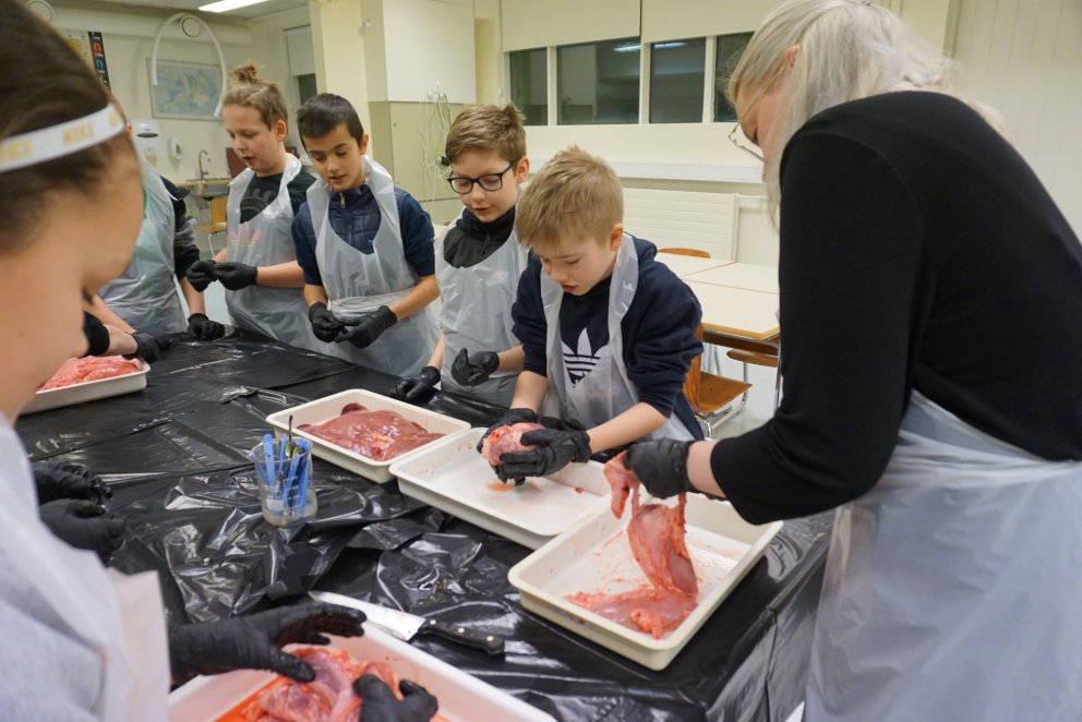 Frá krufningu í 6. bekk