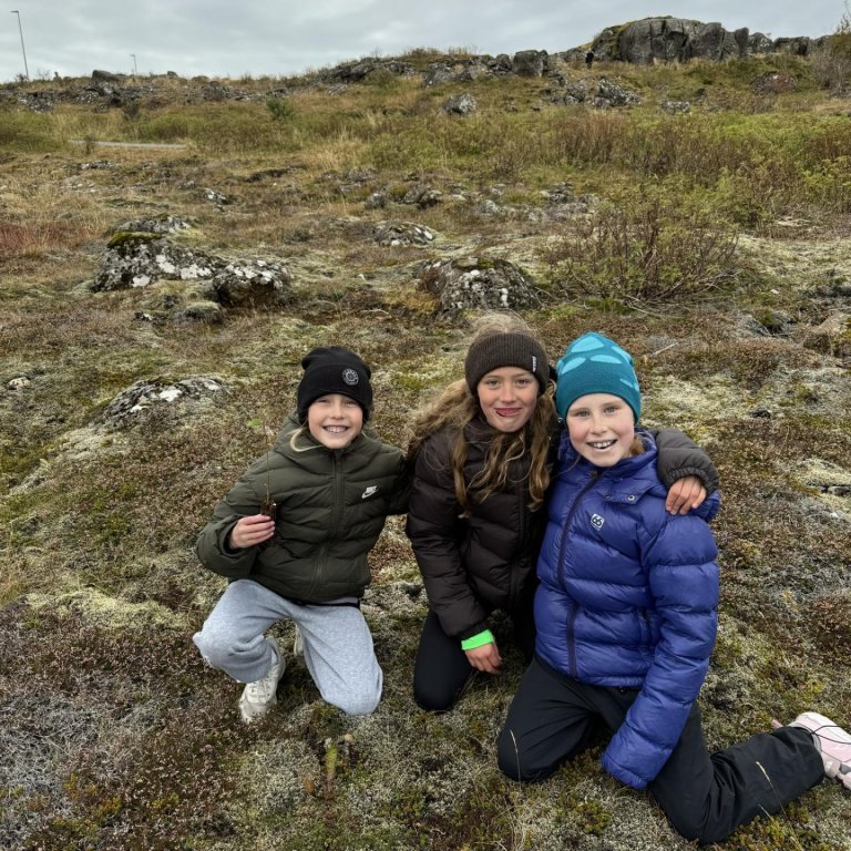Gróðursetning á birkitrjám í Njarðvíkurskógi