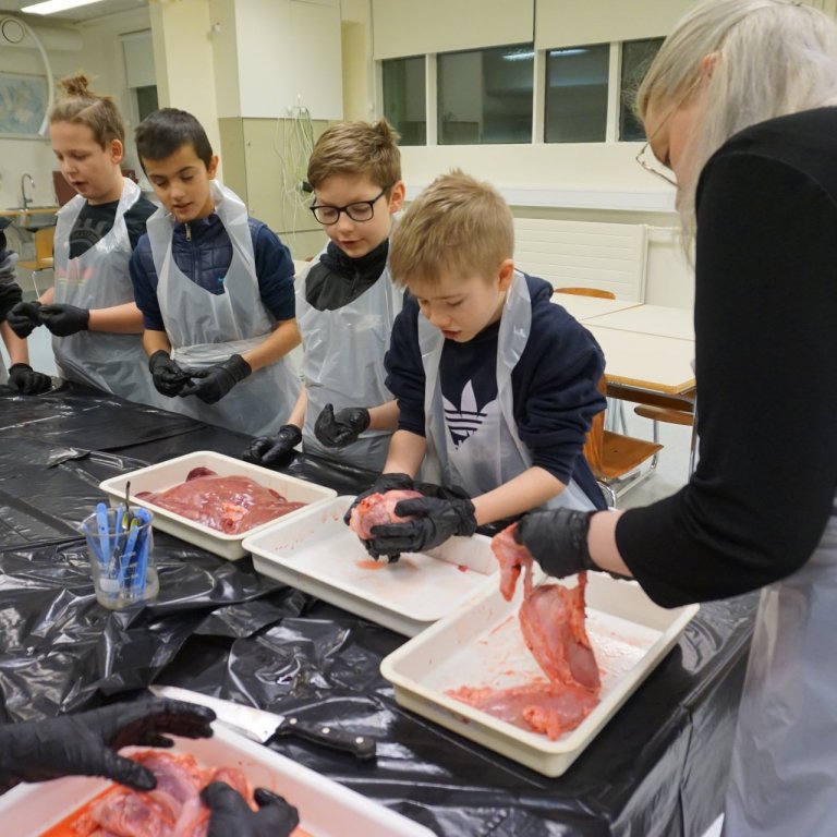 Frá krufningu í 6. bekk