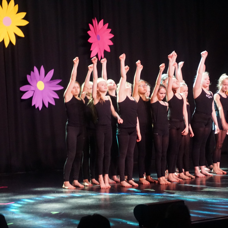 Hæfileikahátíð í Stapa