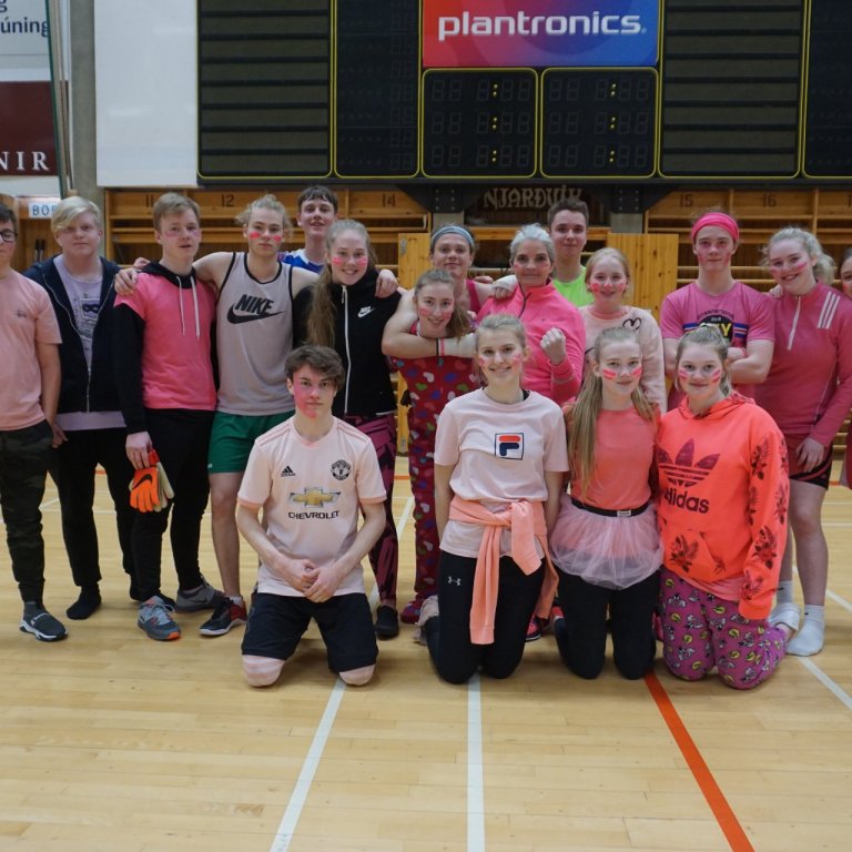 Íþróttabekkur Njarðvíkurskóla 2019 - 10.ÞBI