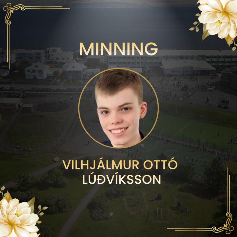 Vilhjálmur Ottó Lúðvíksson
